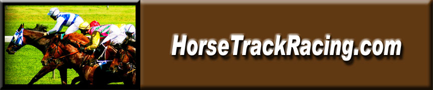 Horse Track Racing